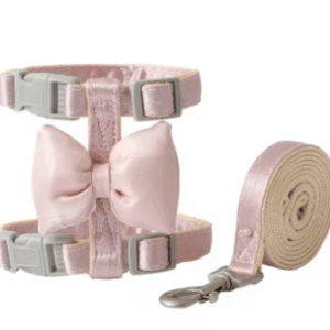 Adjustable Harness and Leash with Bow For Cat