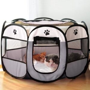 Cat Houses & Cages