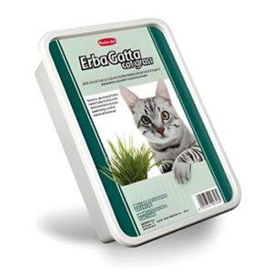 Padovan Cat Grass 100g