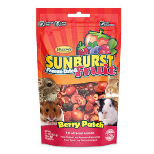 Birds Treats