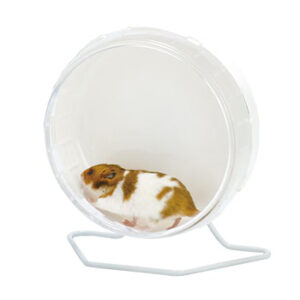 LillipHut Silent Wheel Flat for Small Pet 21 cm