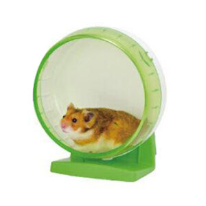 Small Pets Toys & Exercise Wheels