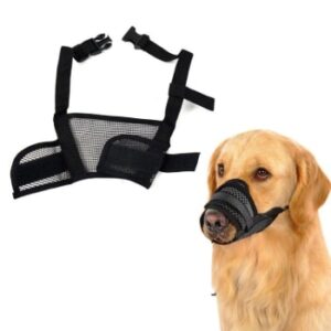 Dog Harnesses & Leashes
