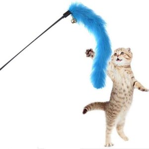 Cat Toys & Accessories