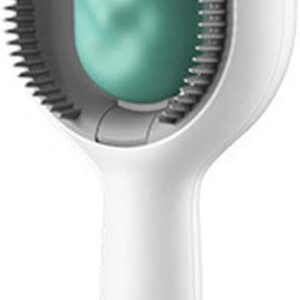Double-Sided Hair Removal Brush with Integrated Water Tank for Cat & Dog