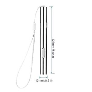 Aluminum Laser Rechargeable Interactive Toy Silver for Cat
