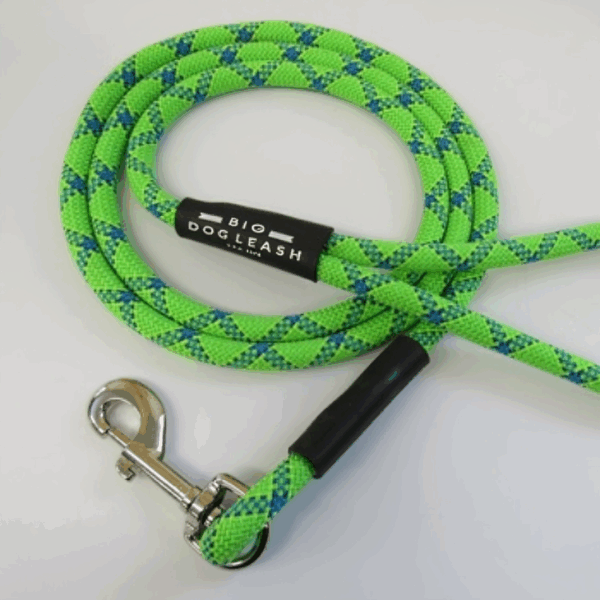 Plum Blossom Belt No. 13