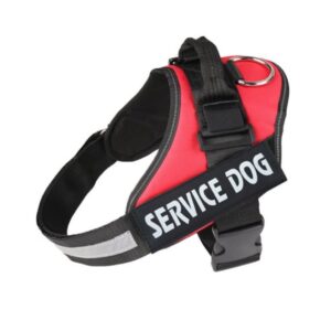 Explosion Proof Chest Back - L