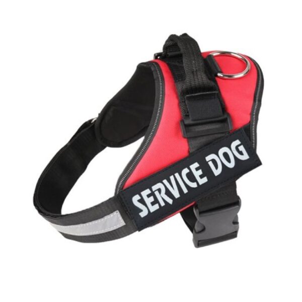Explosion Proof Chest Back - L
