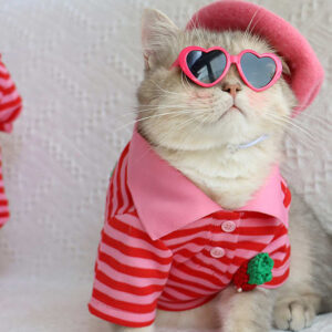 Cat Clothing & Fashion