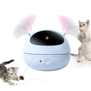 Report Rotating Electric with Laser & Feather for Cat