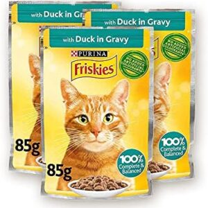Friskies Chicken Chunks in Gravy 85g