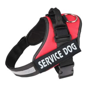Explosion Proof Chest Back - L