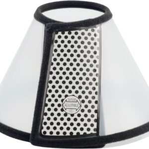 Pet Collar