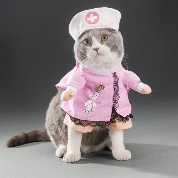 Cat Nurse costume