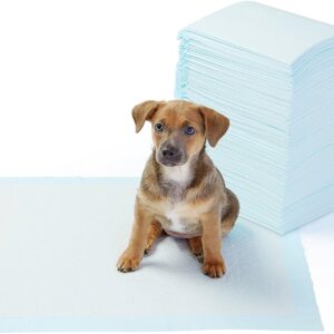 5 Layers Pet Training Pads