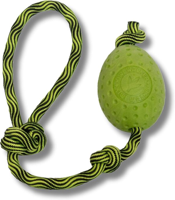 Kiwi Walker Let's play Toy EGG - Image 2
