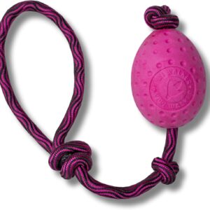 Kiwi Walker Let's play Toy EGG