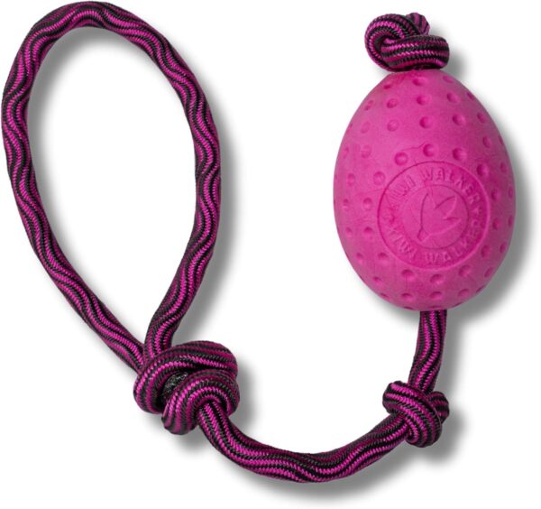 Kiwi Walker Let's play Toy EGG