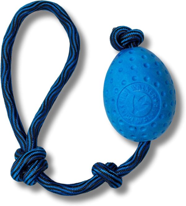 Kiwi Walker Let's play Toy EGG - Image 3