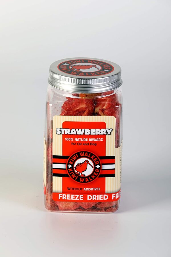 Kiwi Walker Straberry for Cat & Dog Treat 25g