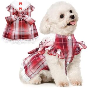 Dog Clothing & Fashion