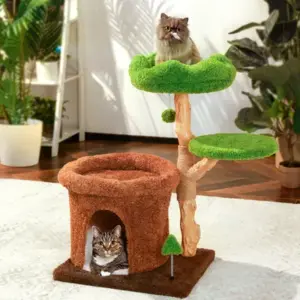 Cat Scratchers & Accessories