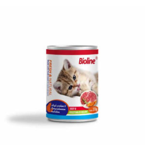 Cat Wet Food