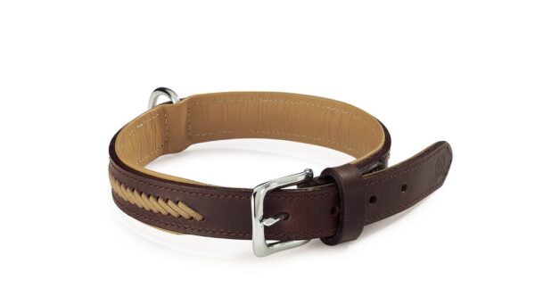 Camon Indiana Leather Collar For Dogs 20*500 mm