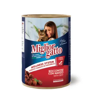 Miglior Gatto with Salmon 400g