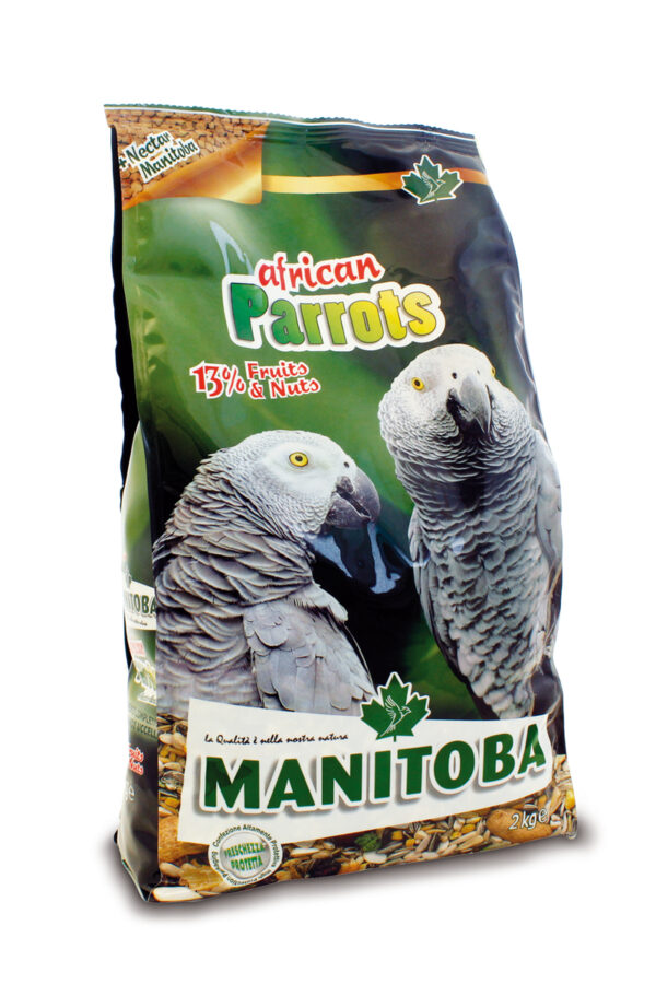 Maintoba African Parrots 2kg