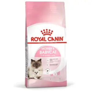 Royal Canin Mother & Babycat Dry Food 10kg