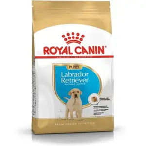 Royal Canin Labrador Junior Dry Puppy Food, 12 kg