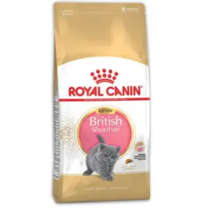 Royal Canin British Shorthair Dry Kitten Food 10kg