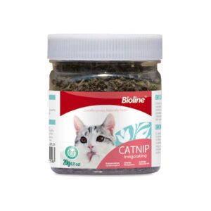 Cat Health & Dental Care