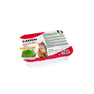 Camon Cat grass with Barley Seed