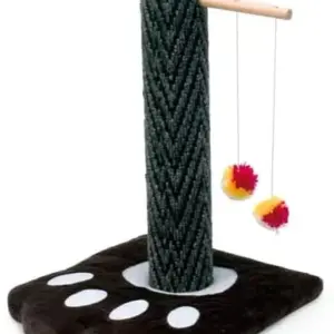 Camon Scratching Post with Paw Base