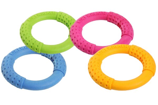 Kiwi Walker Let's play Toy Ring