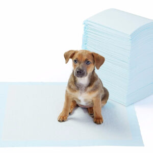 Dog Training pads