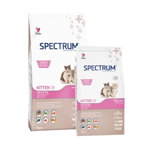 Lider Spectrum Kitten38 2kg